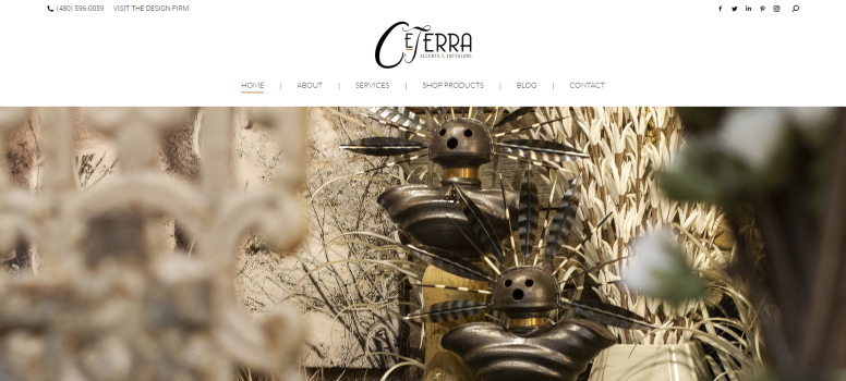 Web Design Portfolio CeTerra Interior Design