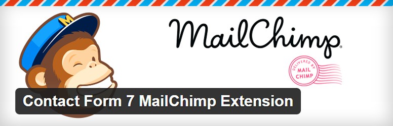 How to Disable the MailChimp Double Opt-in using WordPress