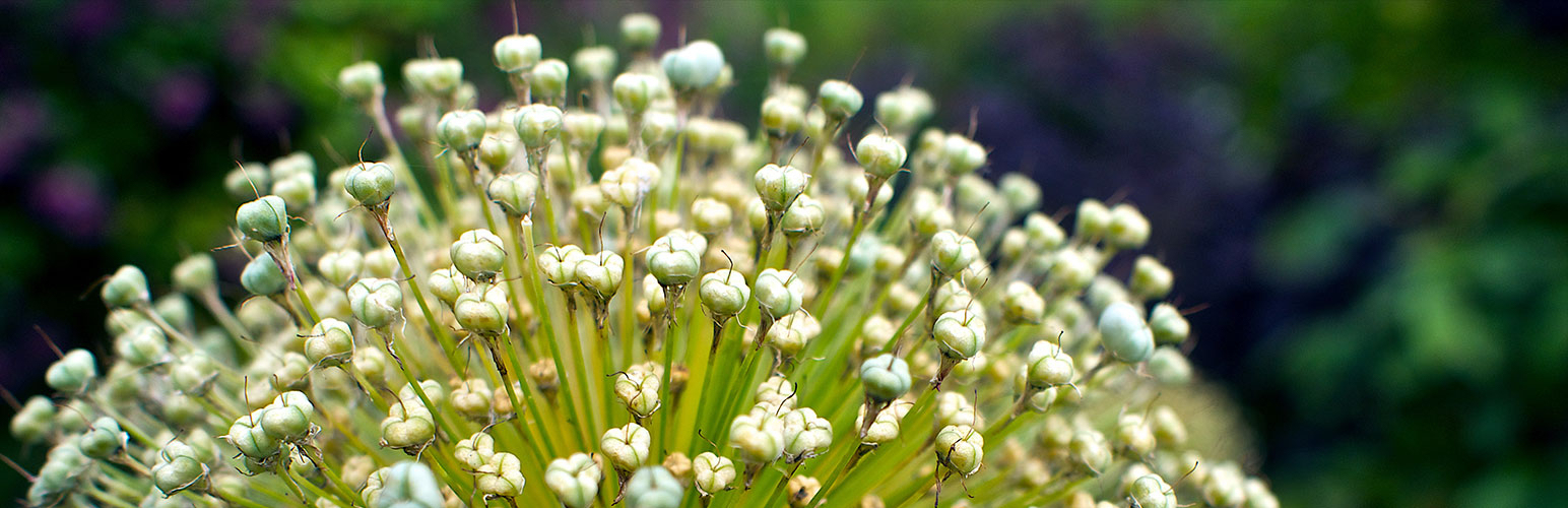 The Top 10 Essential WordPress Plugins - Redirection