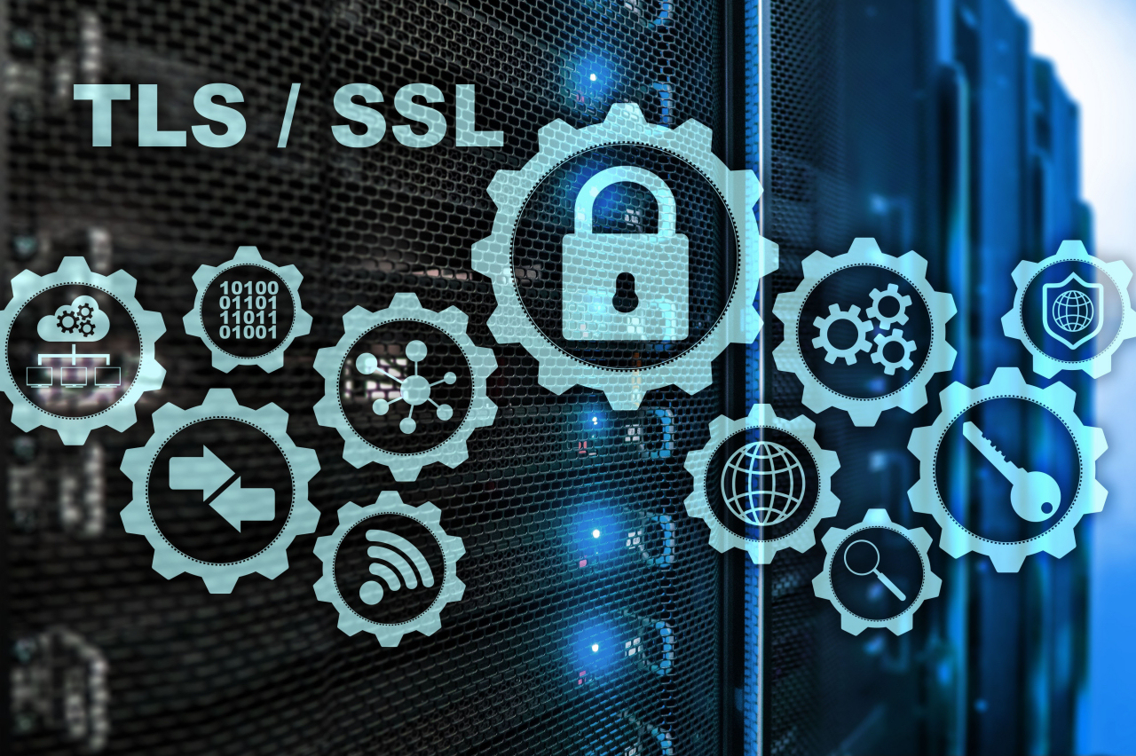 Why Your Wordpress Website Needs an SSL Certificate in 2025